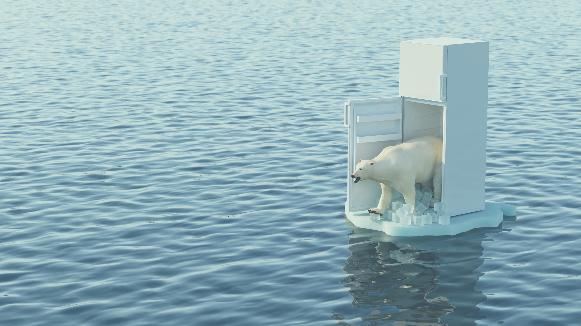 Polar bear in fridge depicting climate change